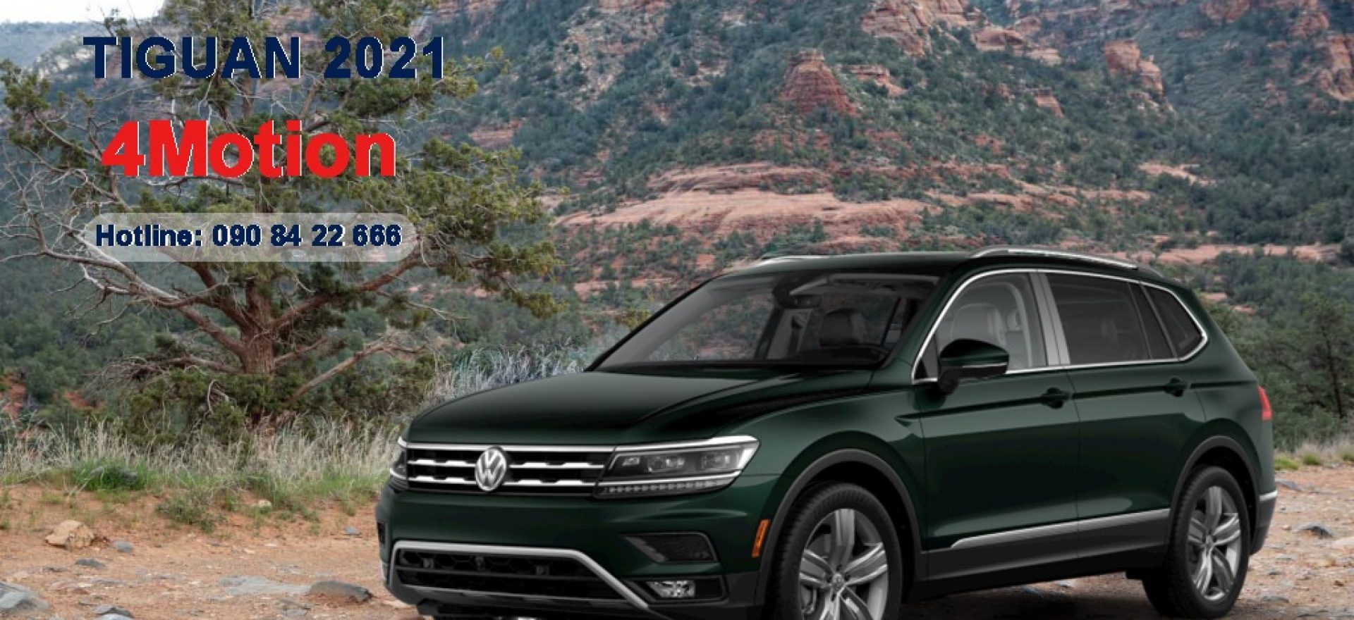 11-08-2021-tiguan-xanh