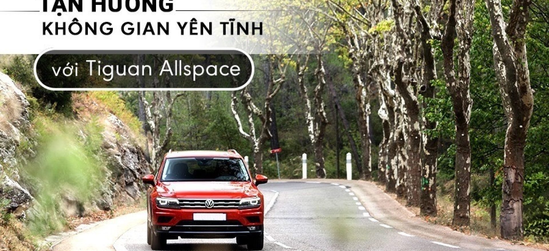 gia-xe-tiguan-allspace-tot-nhat
